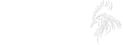 Kohout-Net logo